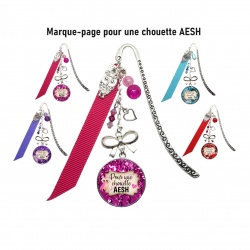 Marque-pages Pour une chouette AESH, 4 coloris au choix