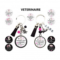 Porte clés vétérinaire personnalisable