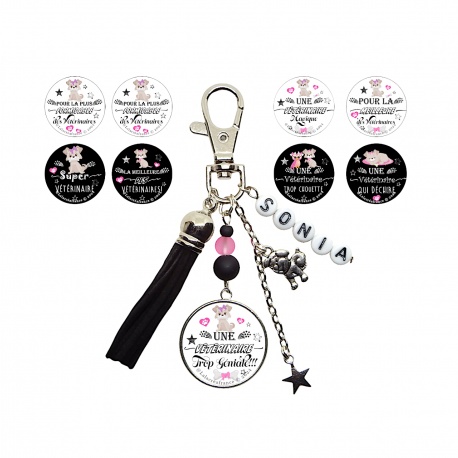 Porte clés vétérinaire personnalisable